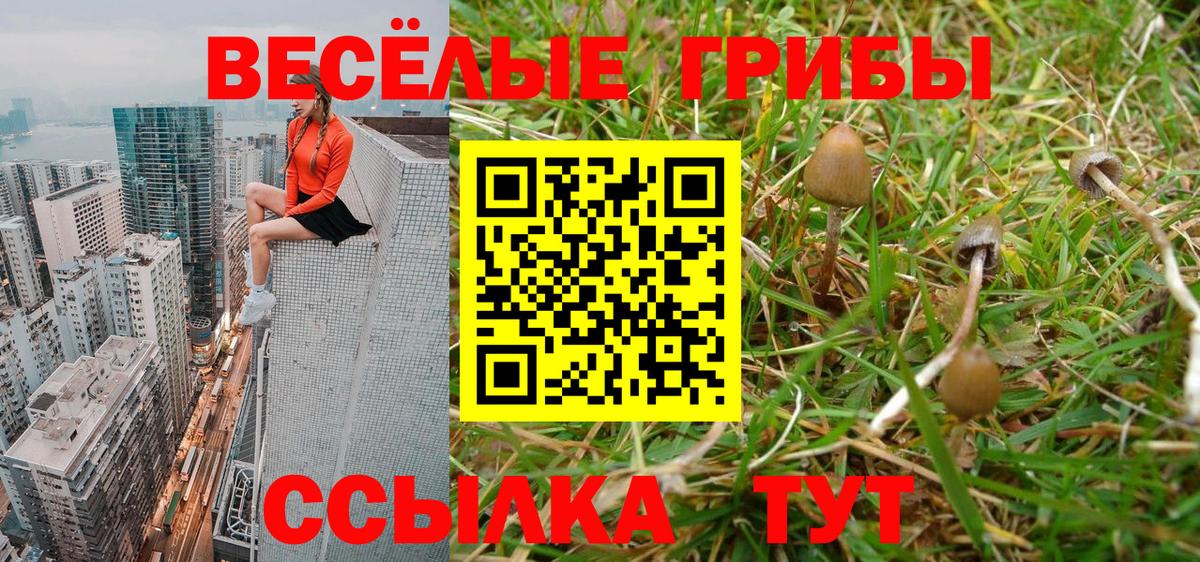 Псилоцибиновые грибы ЛСД Новочеркасск