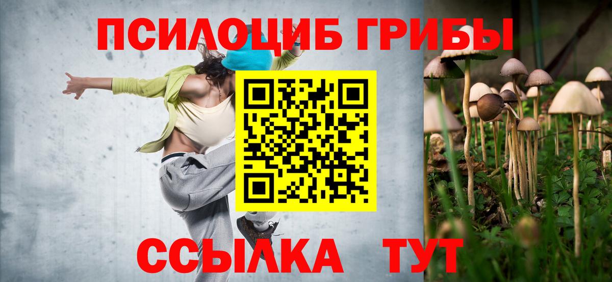 Галлюциногенные грибы Cubensis  Псилоцибиновые грибы Psilocybe  Новочеркасск  Вход с VPN 
